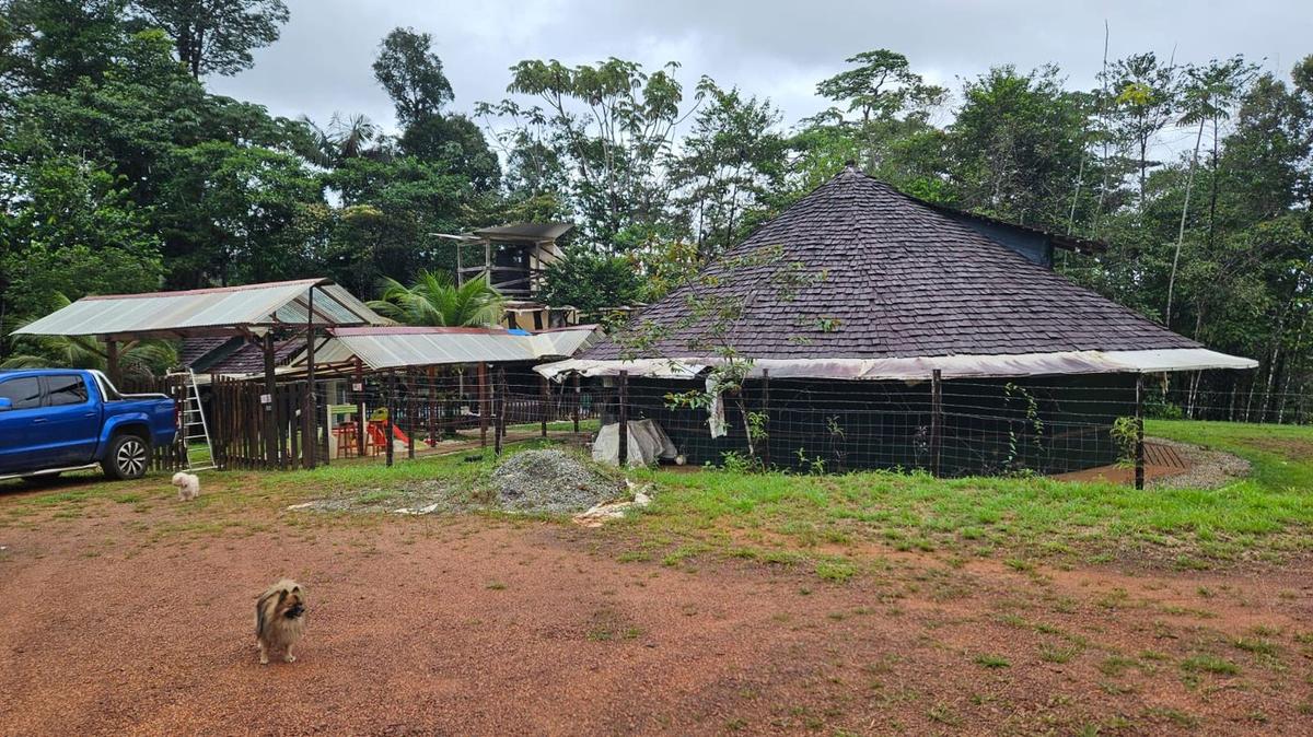 Overview of the carbet in the Guianese forest